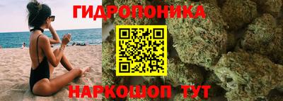 прущие крисы Кулебаки