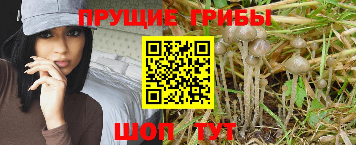 Галлюциногенные грибы MAGIC MUSHROOMS Домодедово
