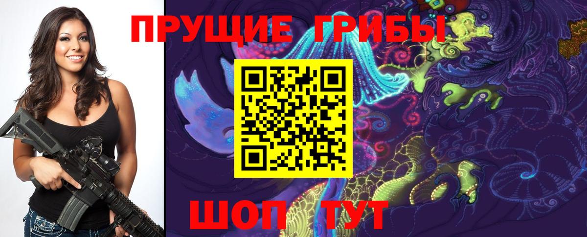 Домодедово  где купить наркоту  Вход с VPN  Псилоцибиновые грибы Psilocybine cubensis 
